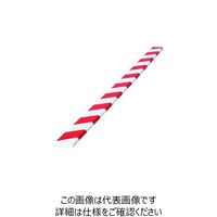 岩田製作所 IWATA バンパープロ フラットタイプ 1M 赤/白 BP6R-L1 1本 221-1354（直送品）