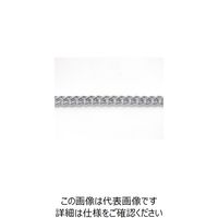 ニッサチェイン アルミカラーチェン 30m 銀 AS18-SV 1本 126-4499（直送品）