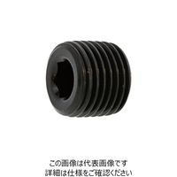 SUNCO DRYシール プラグ(浮き PT 1/8 (100本入) A0-00-5700-8010-0000-72 1箱(100本)（直送品）