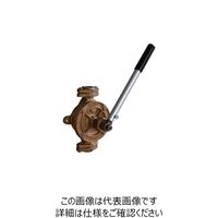 アクアシステム ウイングポンプ BC（CAC） 50A（設備・水道・全砲金） BC NO.7 509-5611（直送品）