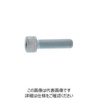 SUNCO クロメート CAP(TKS 16 × 100 (12本入) A0-00-000T-0160-1000-02 1箱(12本)（直送品）