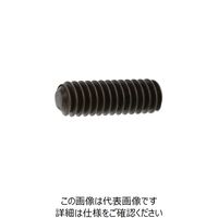 SUNCO HS（UNC（平先 1/4-20X5/8 （100本入） A0-00-5131-8020-8050-00 248-9789（直送品）