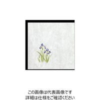 大黒工業 大黒 シースル掛紙 No.6 (あやめ」 97933 1組(100枚) 236-6613（直送品）