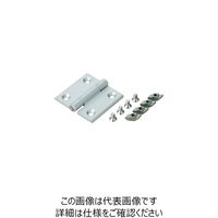 AS-HG-AL-M4040-10（直送品）