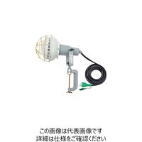 日動工業 日動 エコビックLED投光器40W 昼白色 E付 PN電線