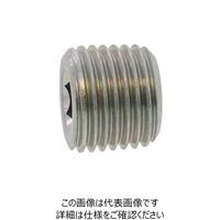 SUNCO クロメート 阪村 プラグ(浮き SWCH10R R1”ー11 (70本入) A0-00-5600-8100-0000-02 1箱(70本)（直送品）