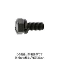 SUNCO 10.9 トリーマP=2 6×16 (400本入) 11-00-0402-0060-0160-00 1箱(400本)（直送品）