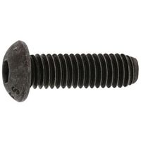 SUNCO ボタンCAP(UNC #10ー24×1/2 (100本入) A0-00-1030-7100-8040-00 1箱(100本)（直送品）