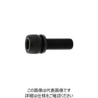SUNCO 10.9GTーS CAP 10 X 20 (100本入) A0-00-9S00-0100-0200-00 1箱(100本)（直送品）