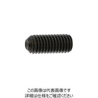 SUNCO 三価ブラック HS（ナガイ くぼみ先 2.6×10 （1000本入） 241-1161（直送品）
