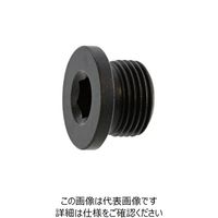 SUNCO NSフランジプラグ G 1/8 (400本入) A0-00-5750-8010-0000-00 1箱(400本)（直送品）