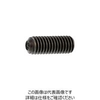 SUNCO HS(アンスコ(AWP 10×40 (100本入) A0-00-504A-0100-0400-00 1箱(100本)（直送品）