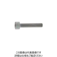 SUNCO ステンCAP(全ネジ 10X45X45 (50本入) A0-02-0010-0100-0450-00 1箱(50本)（直送品）