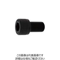 SUNCO ステンCAP(細目 ピッチ 1.0 12 X 35 (50本入) A0-02-0005-0120-0350-00 1箱(50本)（直送品）