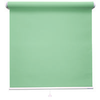 立川機工 FIRSTAGE(ファーステージ) ロールスクリーン 無地 TR-1028 1100×2200mm アクアグリーン 1台（直送品）