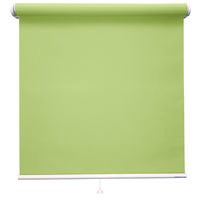 立川機工 FIRSTAGE(ファーステージ) ロールスクリーン 無地 TR-1027 1000×1400mm マスカット 1台（直送品）