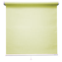 立川機工 FIRSTAGE(ファーステージ) ロールスクリーン 洗える TR-1504 950×1700mm シャーベット 1台（直送品）