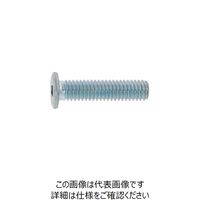 SUNCO BC 極薄・NSローヘッド 4×16 (1000本入) A0-00-L300-0040-0160-10 1箱(1000本)（直送品）