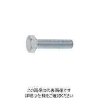 SUNCO 無電解NI 六角ボルト 全ネジ 10X80 （100本入） B0-00-0000-0100-0800-22 259-8715（直送品）