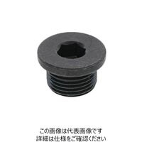 SUNCO GOSHOプラグ (ツバ付き GPF 3/8 (300本入) A0-00-5850-8030-0000-00 1箱(300本)（直送品）