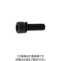 SUNCO 10.9 NHセフティソケット 3 X 25 (500本入) A0-00-900N-0030-0250-00 1箱(500本)（直送品）