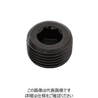 SUNCO プラグ（沈み（TKS PT 1/8 （1500本入） A0-00-571T-8010-0000-00 248-1974（直送品）