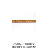 ニッサチェイン アルミカラーチェン 30m 金 AS22-GD 1本 126-6083（直送品）