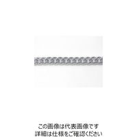 ニッサチェイン アルミカラーチェン 30m 銀 AS22-SV 1本 126-9311（直送品）