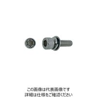 SUNCO ステンCAP P=3 興津螺旋製 4×12 (1000本入) A0-02-903V-0040-0120-00 1箱(1000本)（直送品）