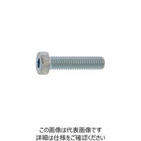 SUNCO 無電解ーNI ローヘッドCAP 10 X 30 （100本入） A0-00-L000-0100-0300-22 243-4739（直送品）