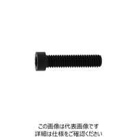 SUNCO 小頭ローヘッドCAP 12×20 (100本入) A0-00-L050-0120-0200-00 1箱(100本)（直送品）