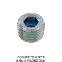 サンコーインダストリー SUNCO GOSHOプラグ(浮き GJ 2” (20本入) A0-00-5800-8200-0000-00 1箱(20本)（直送品）