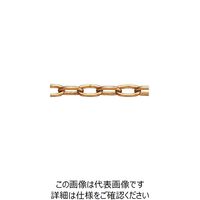 水本機械製作所 水本 ステンレス 高級ミニチェーン ゴールド15m 線径2mm 2AG 1本 849-0217（直送品）