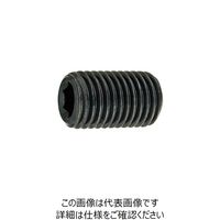 SUNCO HSヒラサキ 細目P1.0 10×40 （100本入） A0-00-5013-0100-0400-00 242-5410（直送品）