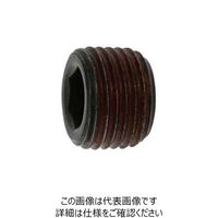 サンコーインダストリー SUNCO ストッキングプラグシズミ GM 1” (50本入) A0-00-581S-8100-0000-00 1箱(50本)（直送品）