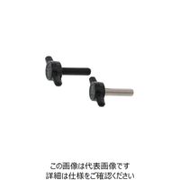 SUNCO 三価ホワイト サムスクリュー（全ネジ T型（黒 5×10 （250本入） 247-8860（直送品）