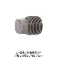 SUNCO 316L プラグ(四角頭 1/8 (500本入) A0-12-5720-8010-0000-00 1箱(500本)（直送品）
