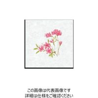 大黒工業 大黒 シースル掛紙 No.23 (つつじ) 97823 1組(100枚) 235-7164（直送品）