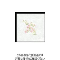 大黒工業 大黒 シースル掛紙 No.25 (野菊) 97825 1組(100枚) 236-3426（直送品）