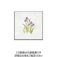 大黒工業 大黒 シースル掛紙 No.24 (あやめ) 97824 1組(100枚) 235-7160（直送品）