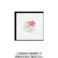 大黒工業 大黒 シースル掛紙 No.27 (きょうちくとう) 97827 1組(100枚) 236-1841（直送品）