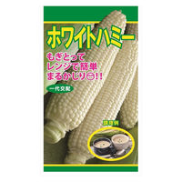 日本農産種苗 ホワイトハミー 4960599190000 1セット(3袋入)（直送品）