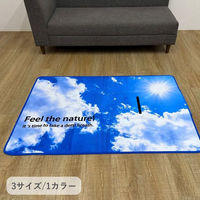 イケヒコ ブルースカイ ラグ 900×1300mm 1280740010303 1枚（直送品）