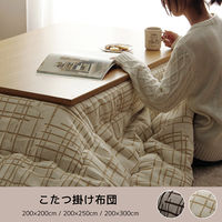 イケヒコ ジェード アイボリー 200×250cm 1330520140802 1個（直送品）