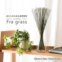 イケヒコ みらい フレグラス 300mm 1370090011004 1枚（直送品）