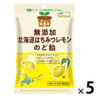 飴 個包装 純国産 はちみつレモンのど飴 57g 1セット(1個×5)