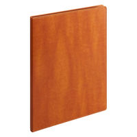 セキセイ ベルポスト クリヤーファイル キャメル BP-5810-44 1冊（直送品）