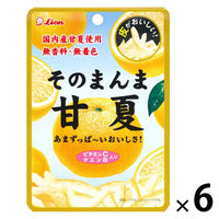 ドライフルール 食べきりサイズ そのまんま甘夏 1セット（1個×6）