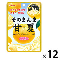 ドライフルール 食べきりサイズ そのまんま甘夏 1セット（1個×12）