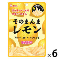 ドライフルール 食べきりサイズ そのまんまレモン 1セット（1個×6）